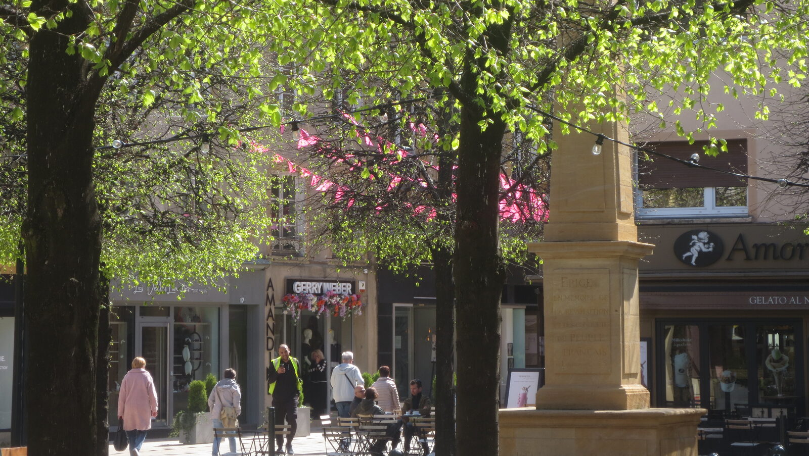 Une rue commerçante ombragée de Thionville, ses vitrines et ses passants.
